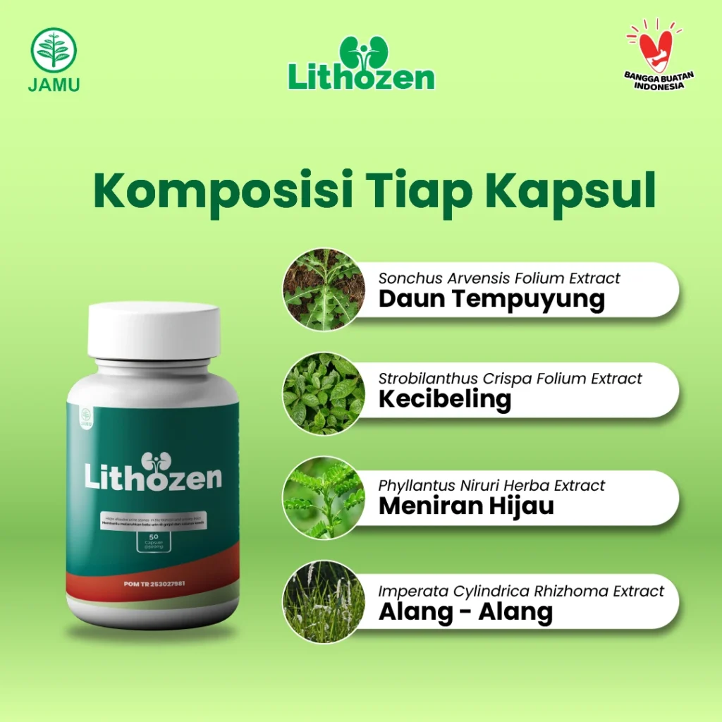 obat batu ginjal,obat batu ampedu,obat kencing batu,obat batu ginjal ampuh