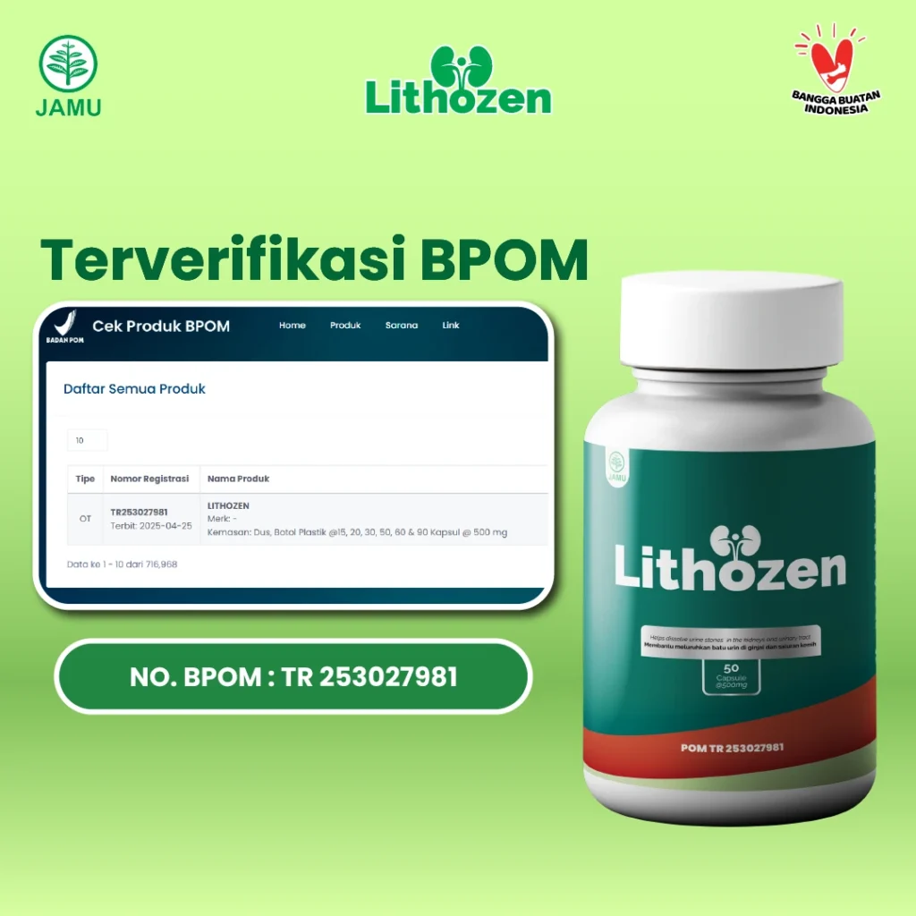 obat batu ginjal,obat batu ampedu,obat kencing batu,obat batu ginjal ampuh