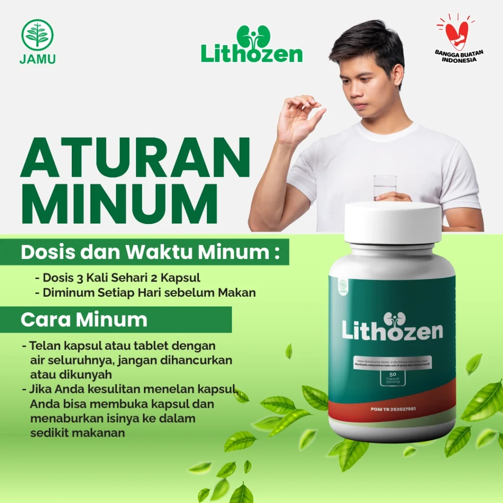 obat batu ginjal,obat batu ampedu,obat kencing batu,obat batu ginjal ampuh